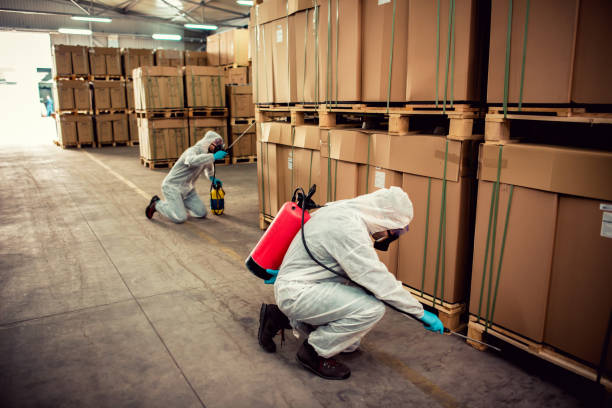 Wasp Removal Services in Shoreview, MN
