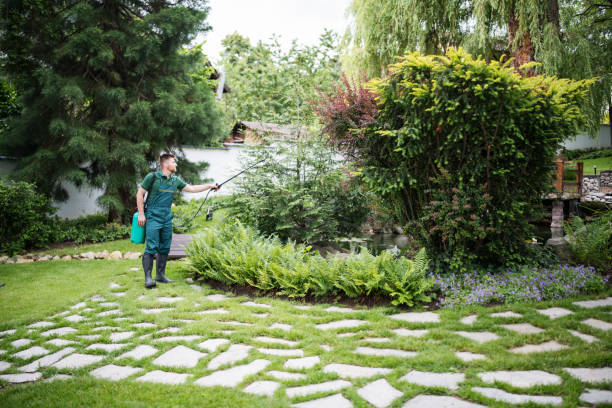 Best Best Pest Control Near Me  in Shoreview, MN
