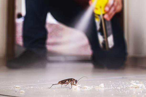 Shoreview, MN Pest Control Company