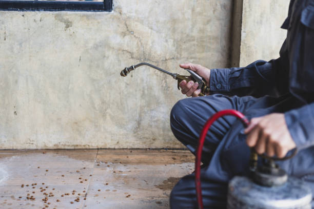Wasp Removal Services in Shoreview, MN